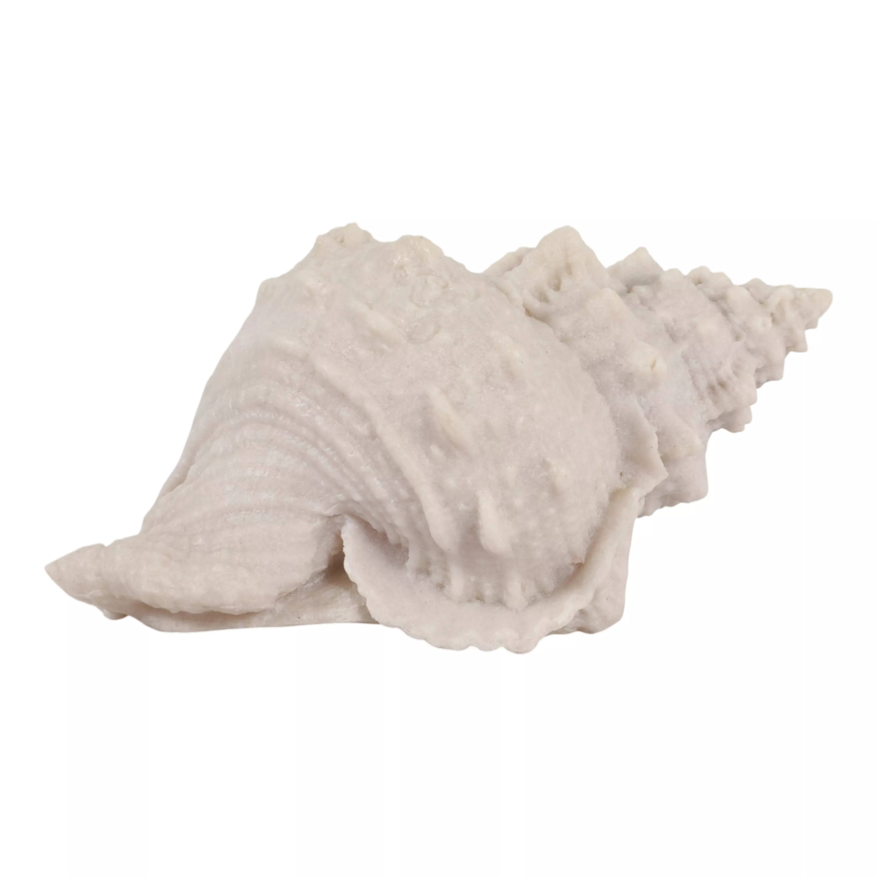 10x5x5 Resin Sand Cong Shell