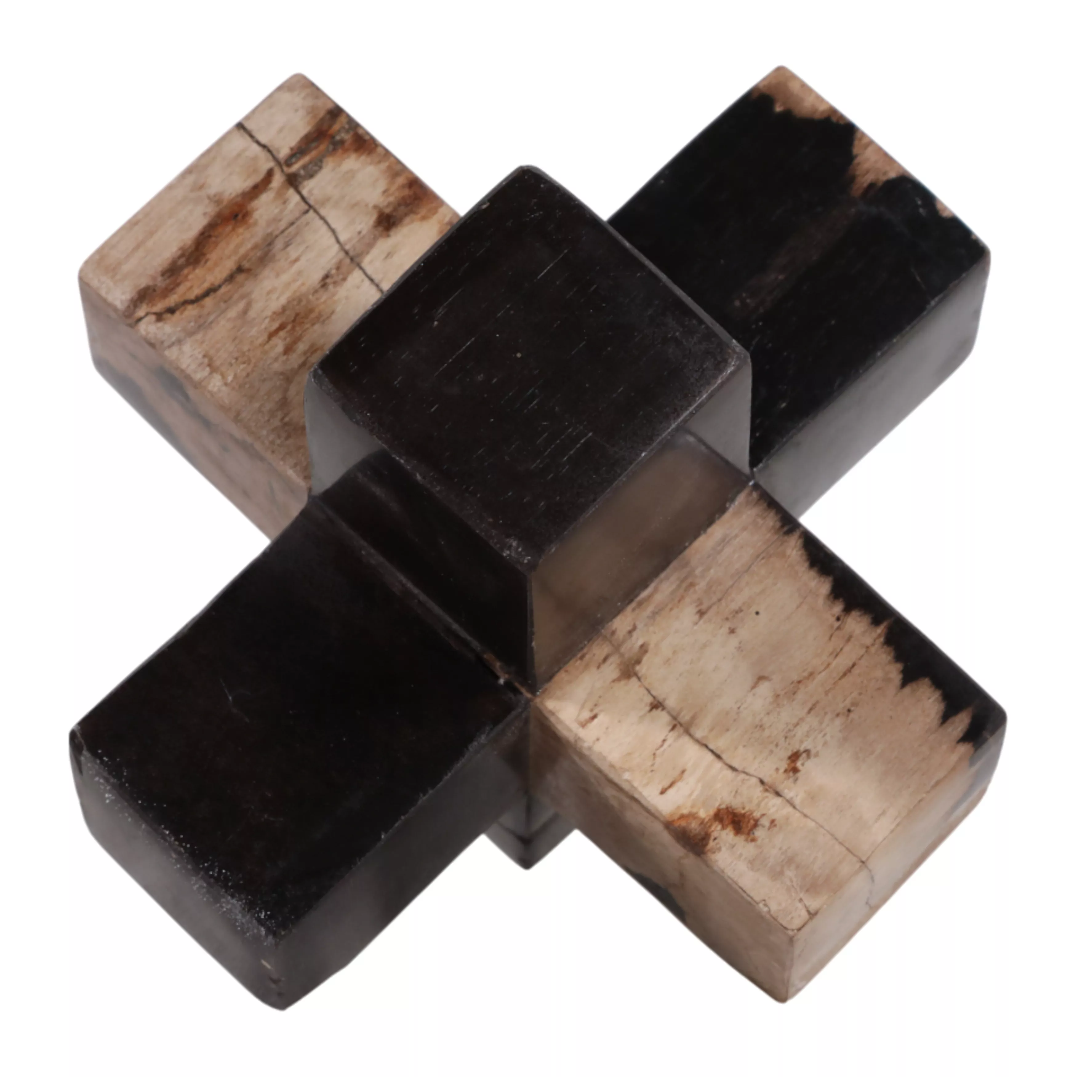 5" Petrified Wood Jack, Multi