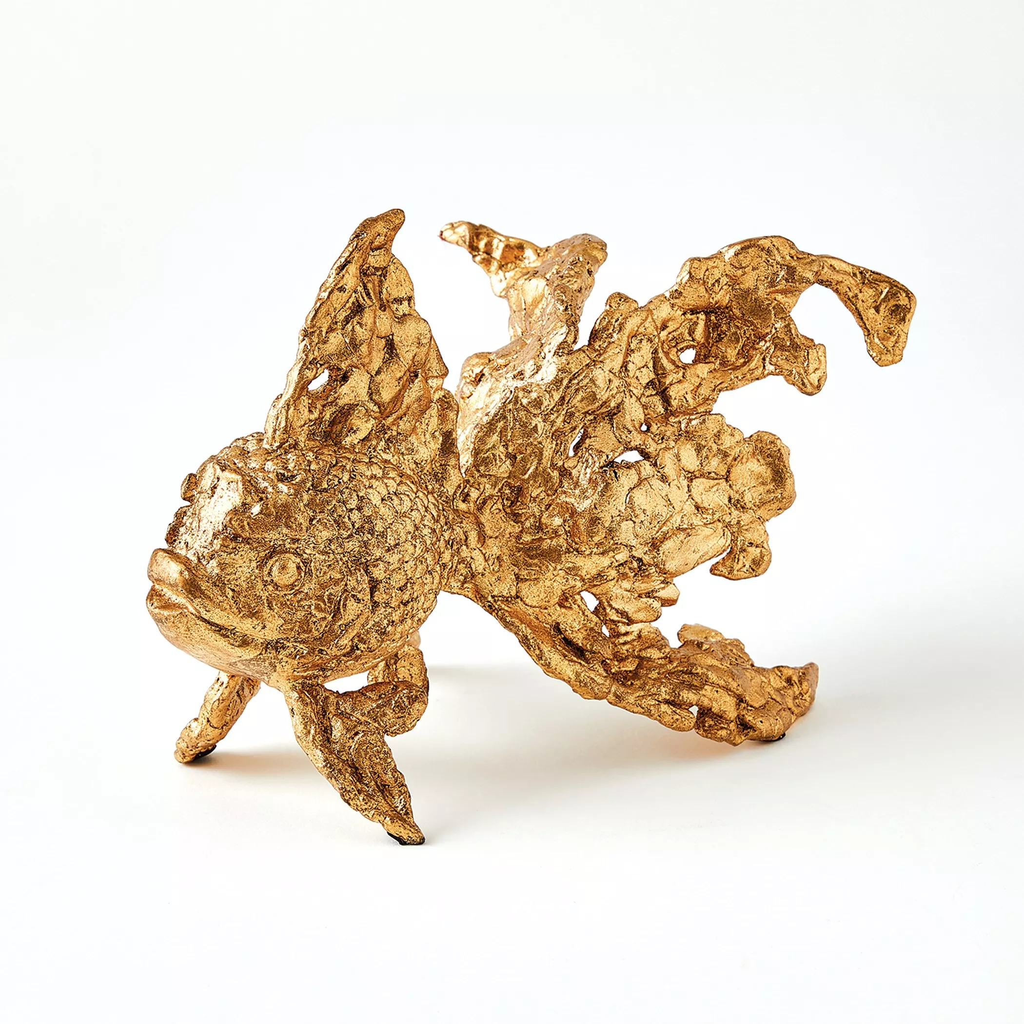 Angelfish-Gold