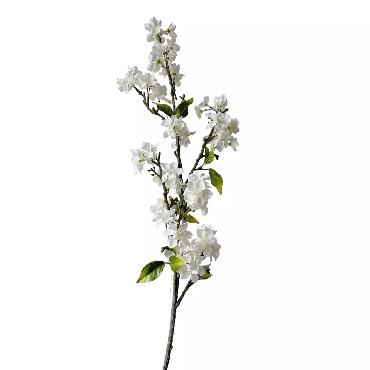 Apple Blossom Stem