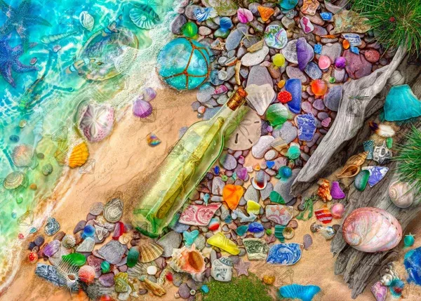 Beachcomber's Bounty