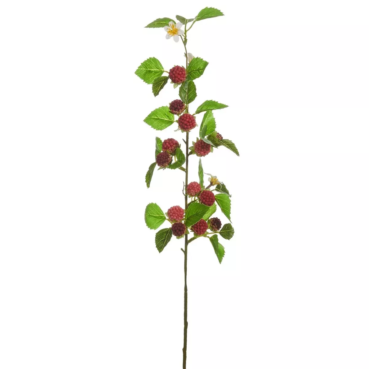 Berry Branch Spray