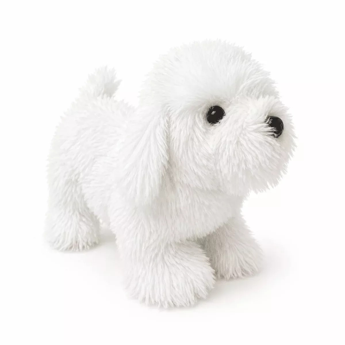Bichon