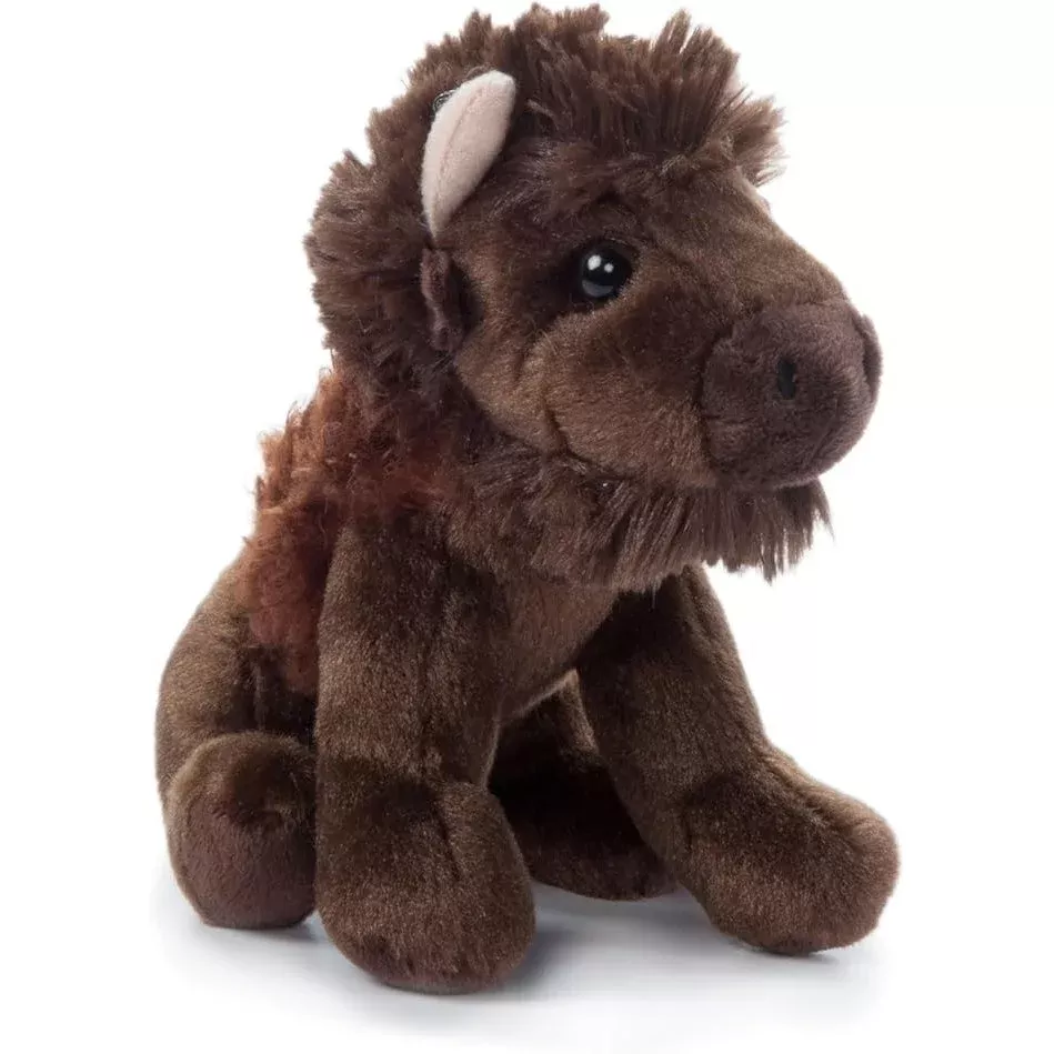Bison