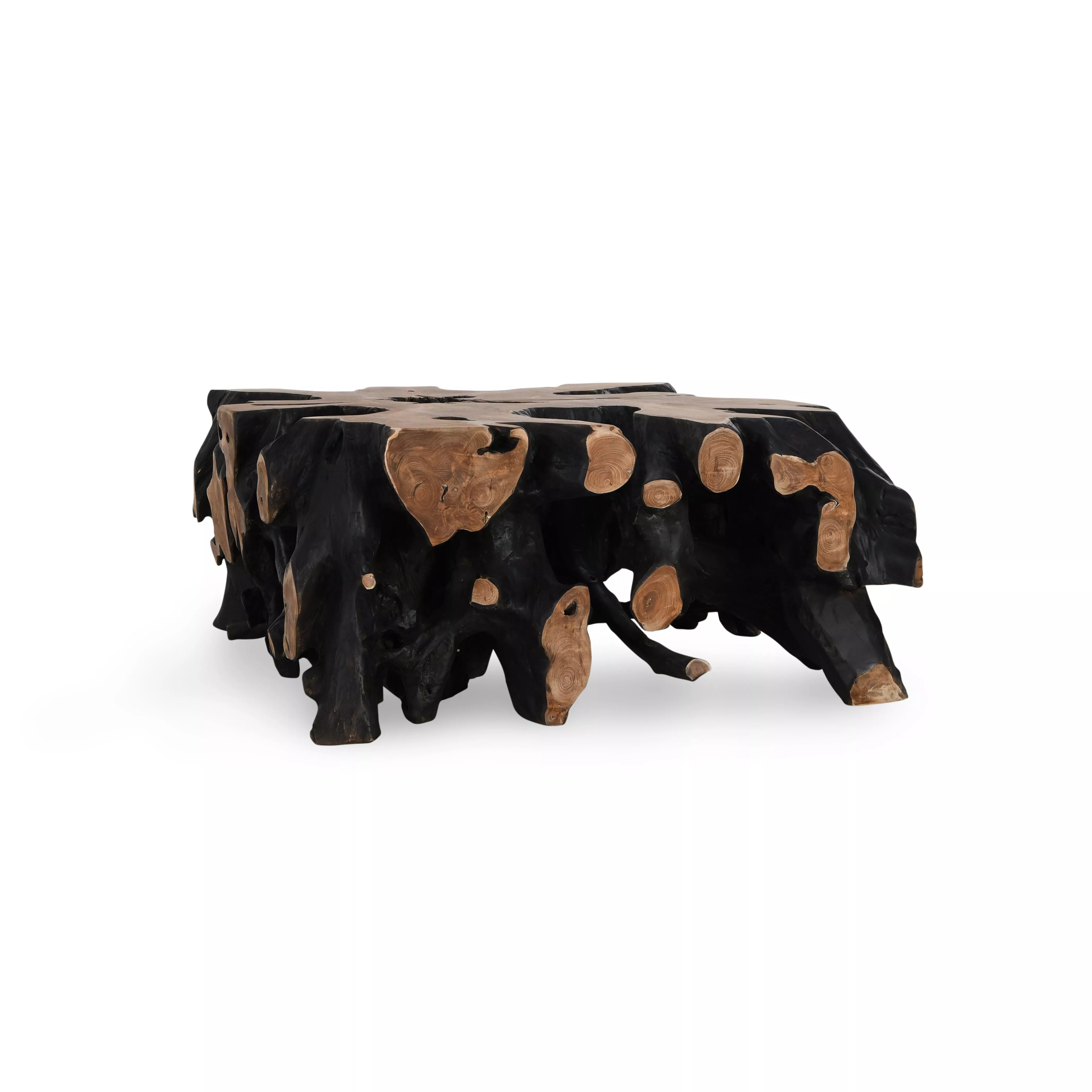 Black Cypress Root Table