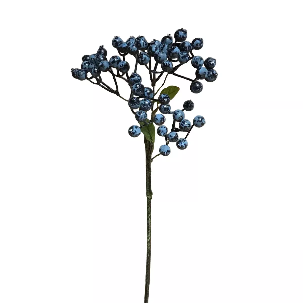 Blue Berry Spray