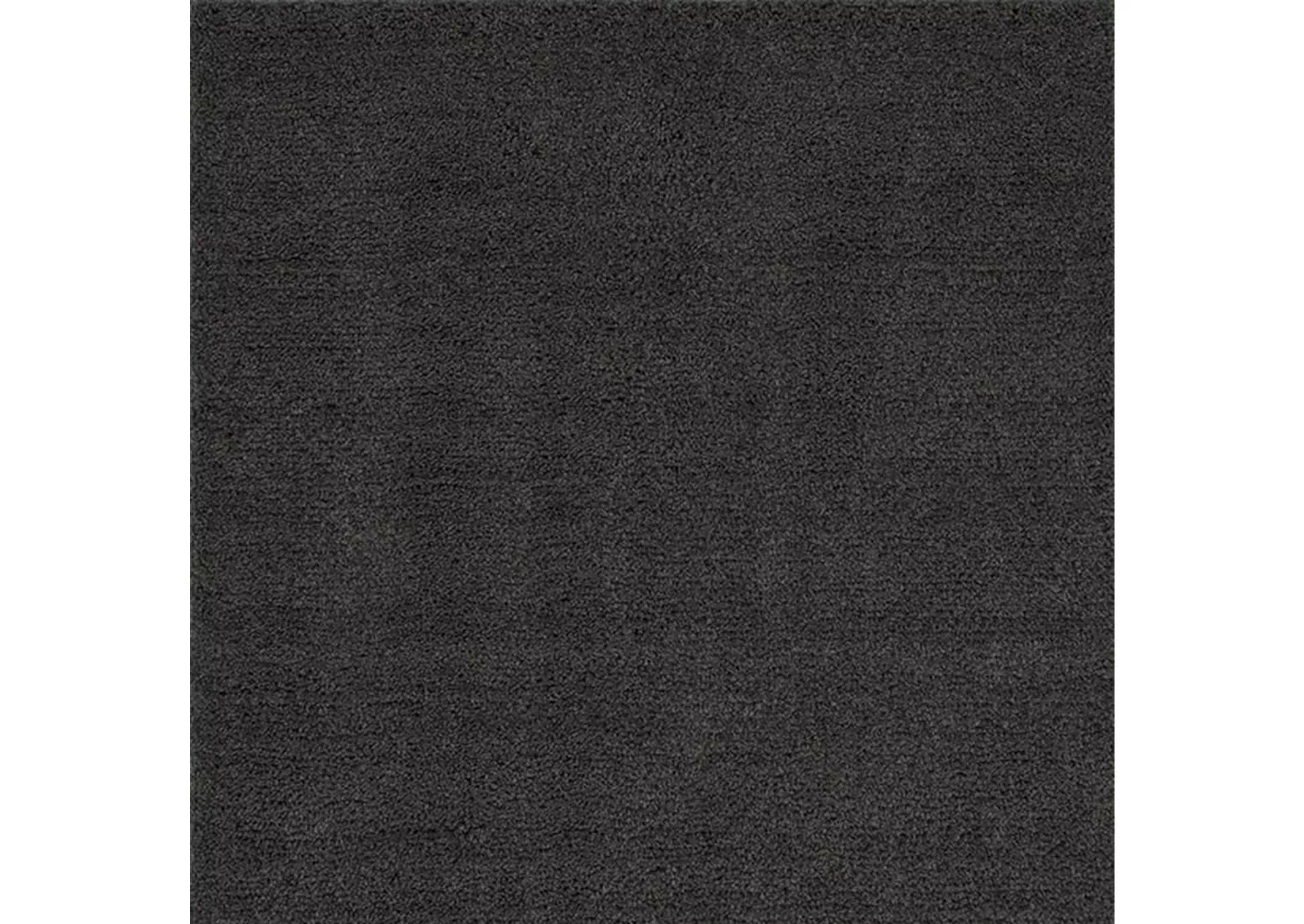 Camara - Area Rug