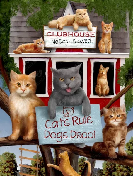 Cats Rule