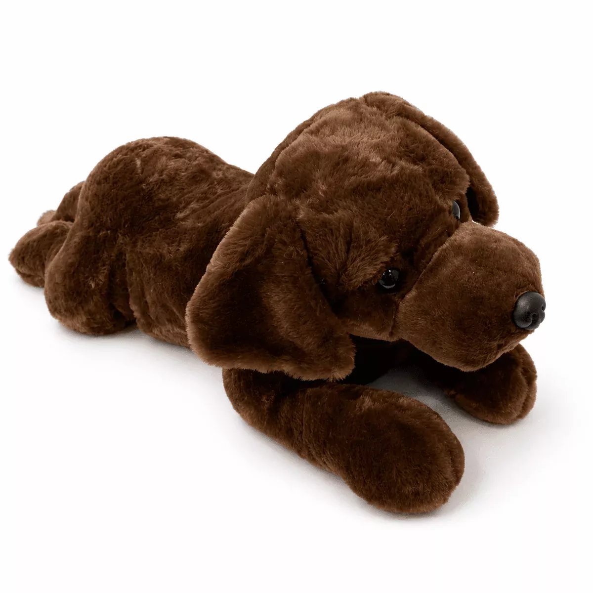 Chocolate Lab