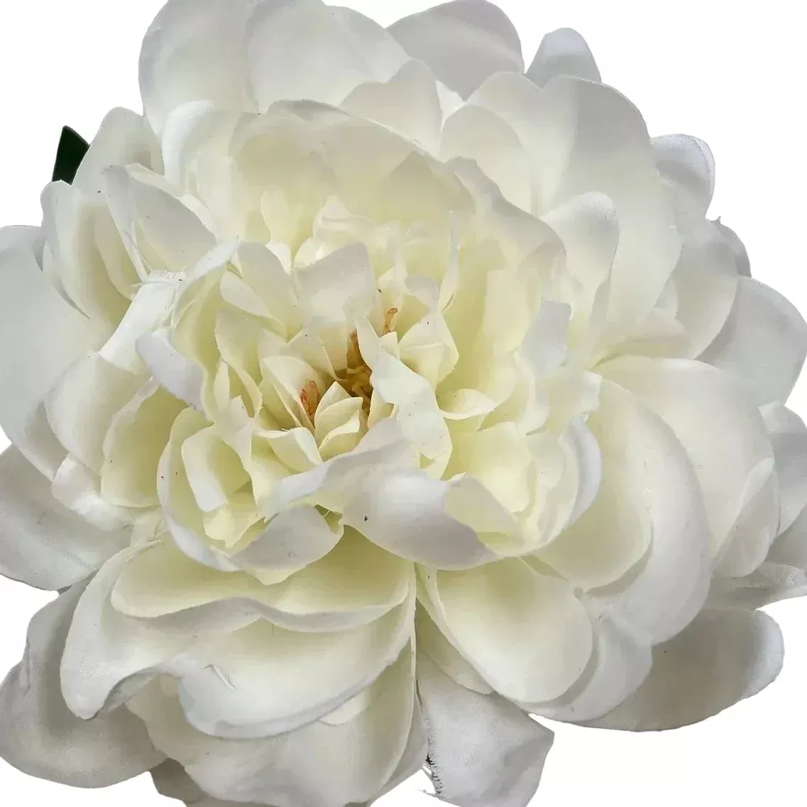 Cream Fresh Touch Peony Stem