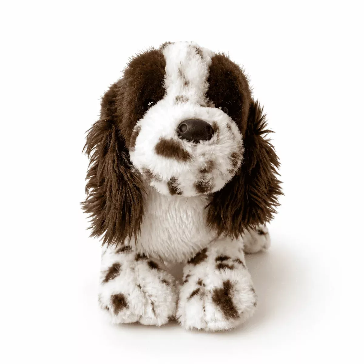 English Spaniel
