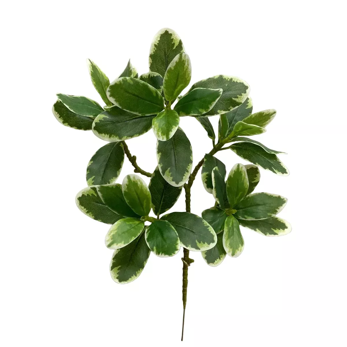 Faux Karaka Spray