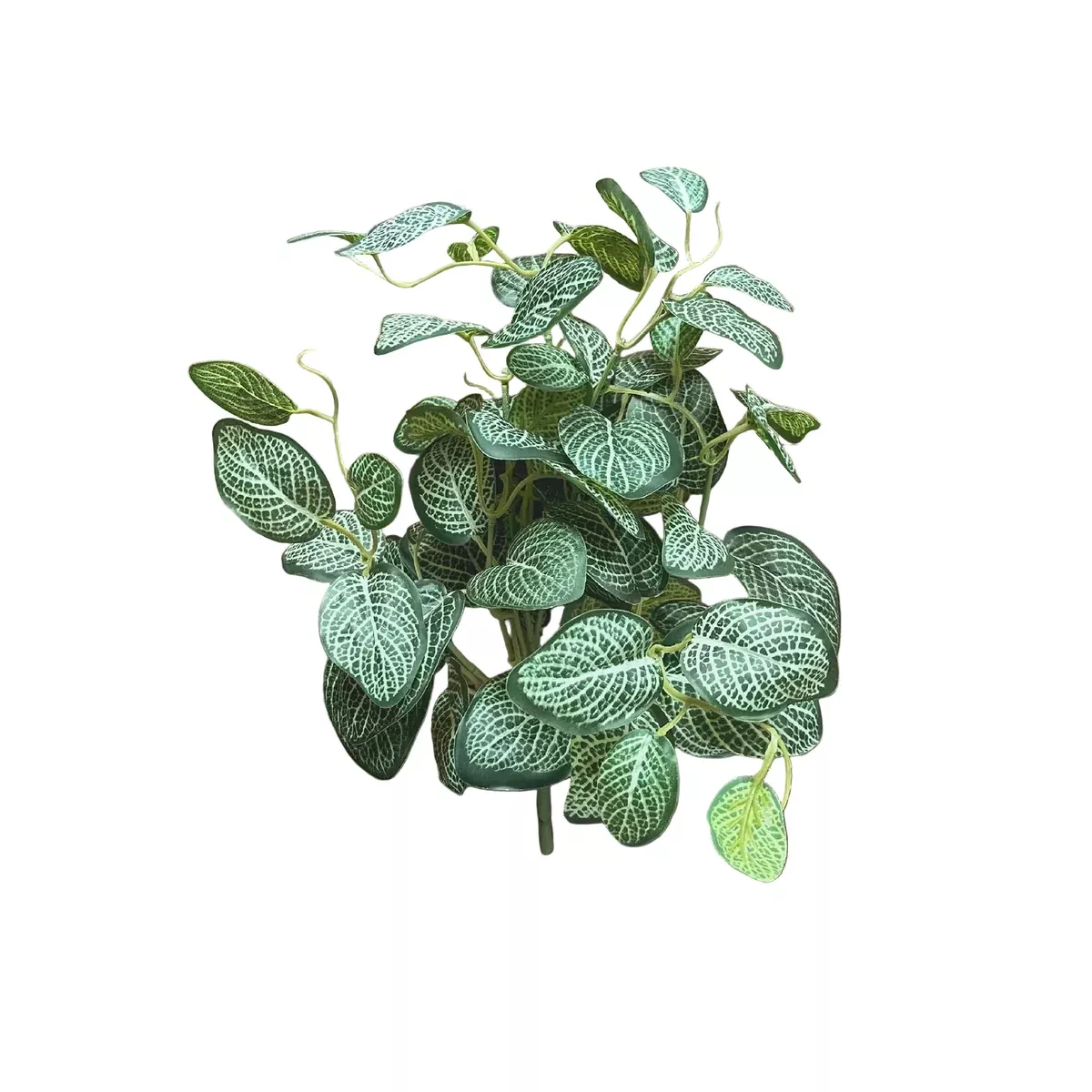 Faux Mini Fittoni Bush
