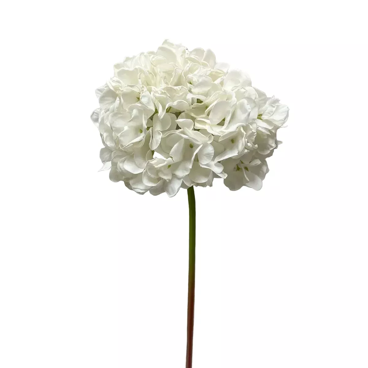 Faux White Dried Look Hydrangea
