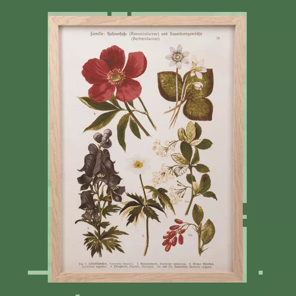 Floral Chart I - Wall Decor