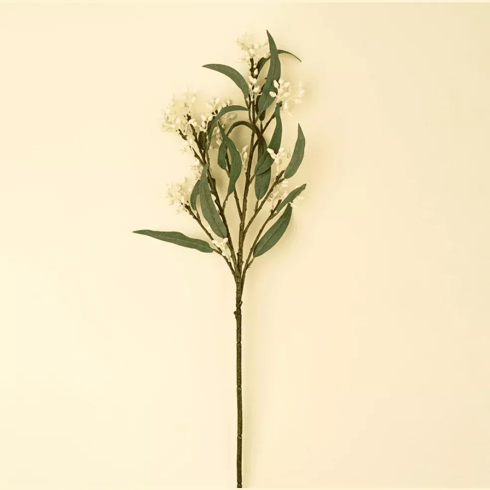 Flowering Eucalyptus Branch