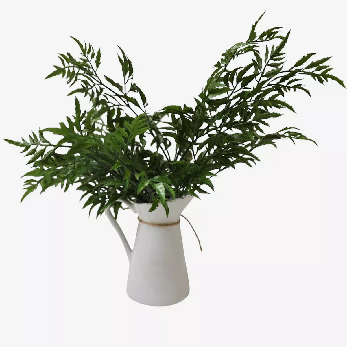 Fresh Touch Ming Aralta Bush