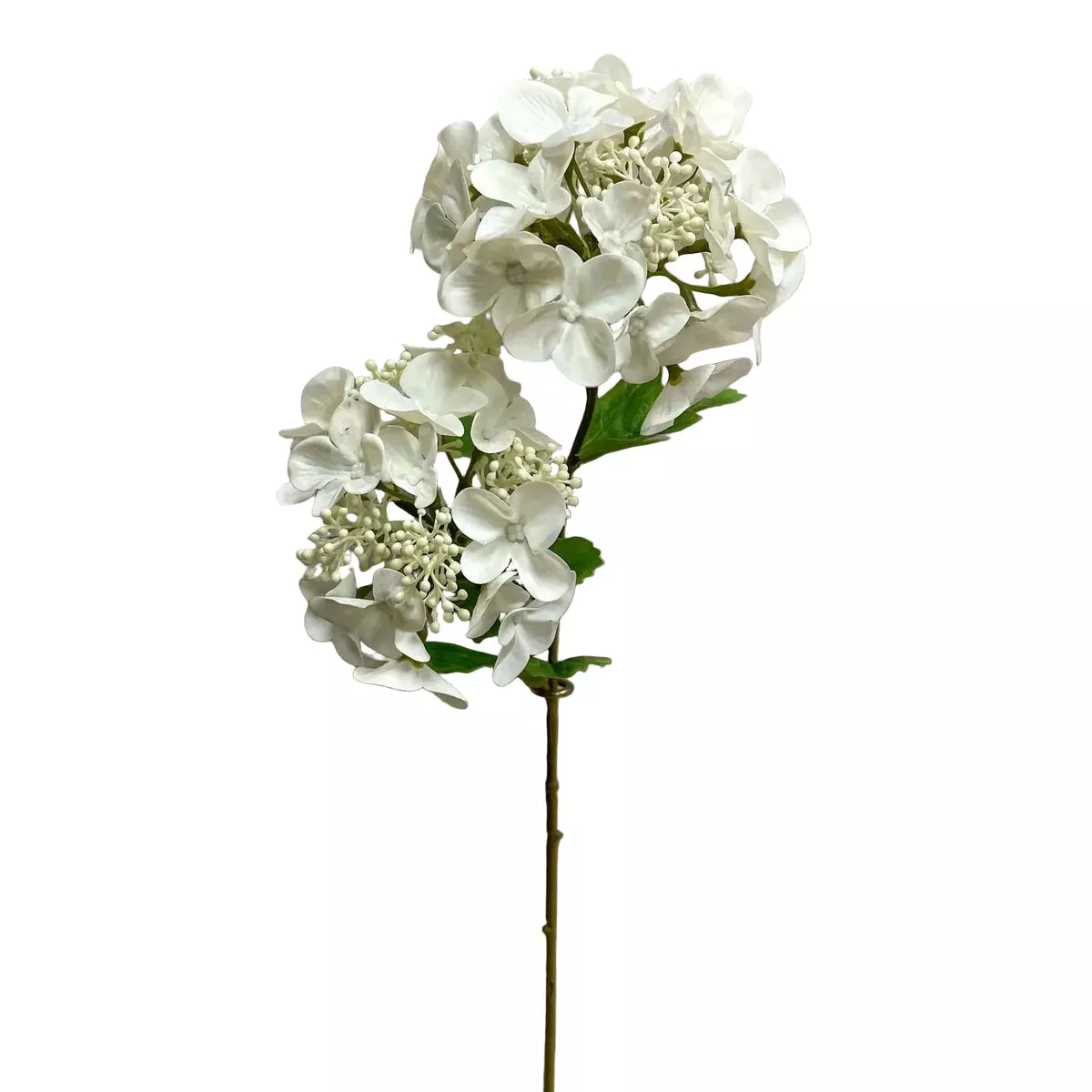 Fresh Touch Seeded Hydrangea Spray