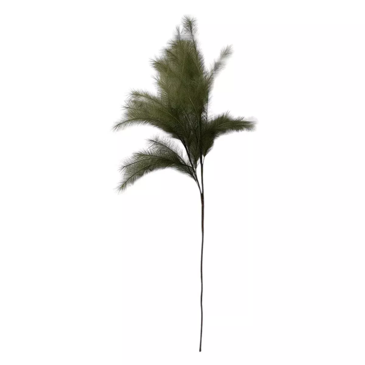 Green Feather Stem
