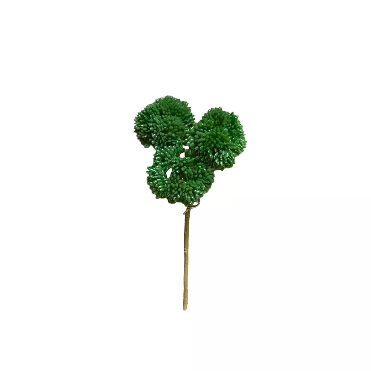 Green Fresh Touch Sedum Pick