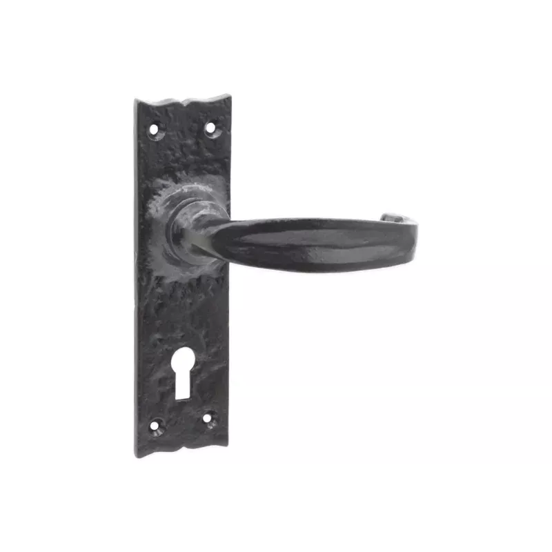 Isabella Lever Handle