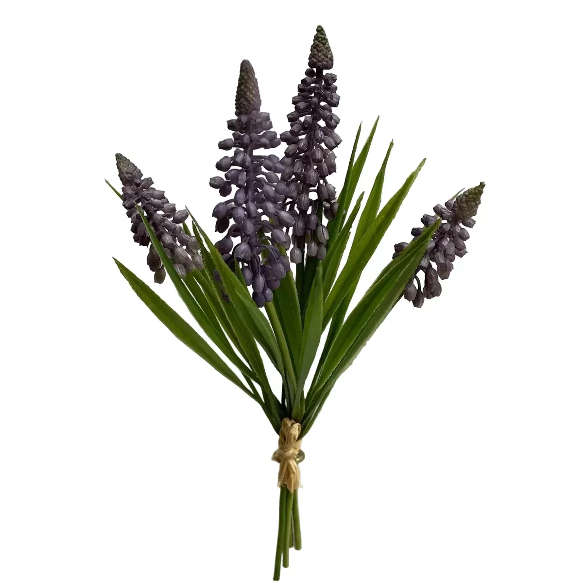 Lavender Muscari Bundle