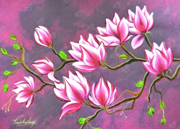 Magnolia