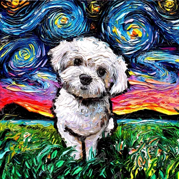 Maltipoo Night