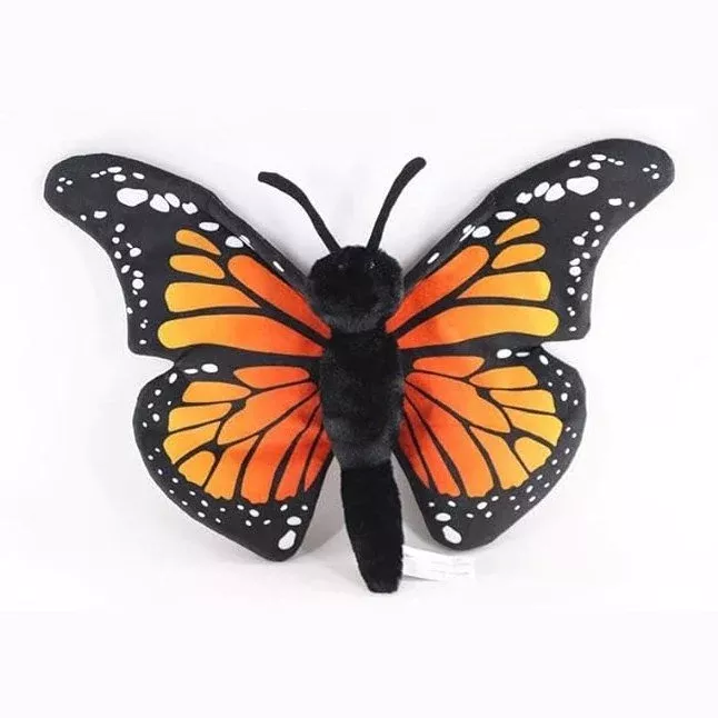 Monarch Butterfly