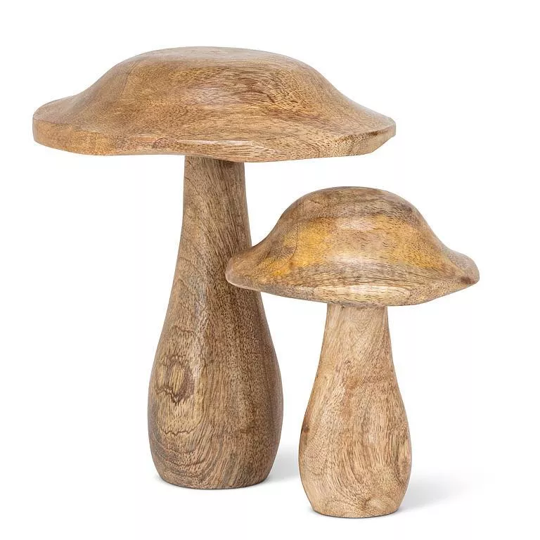 Mushroom With Wavy Cap