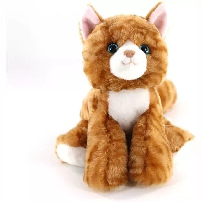 Orange Tabby Cat