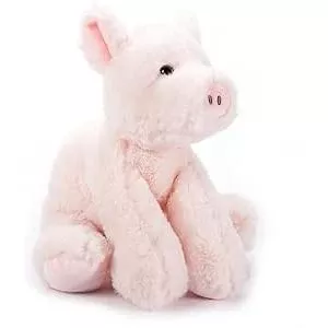 Pig