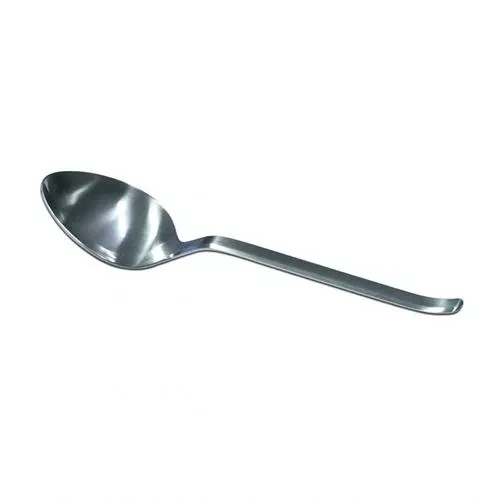 Pott 36: Stainless Steel Serving Spoon, 9"