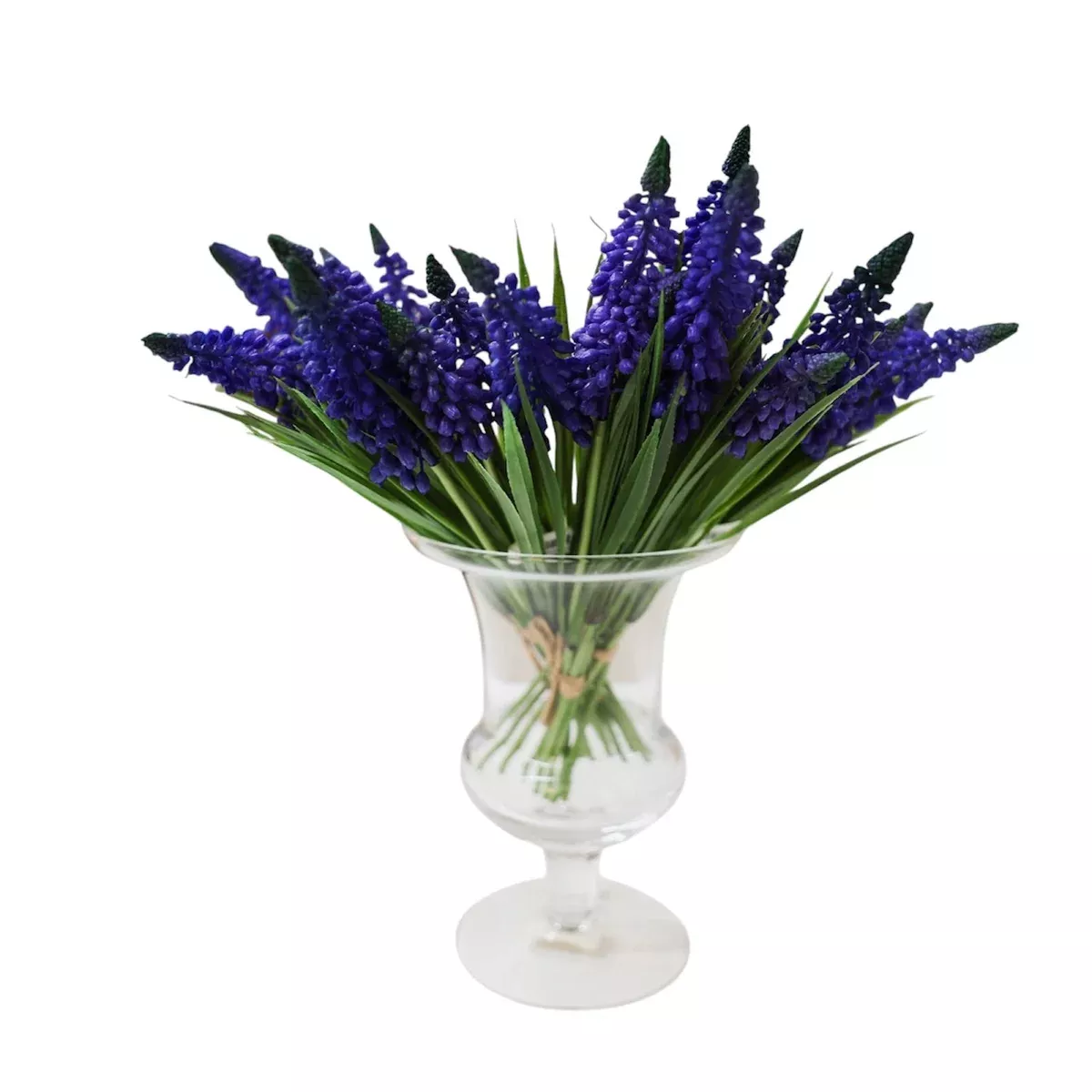 Purple Muscari Bundle