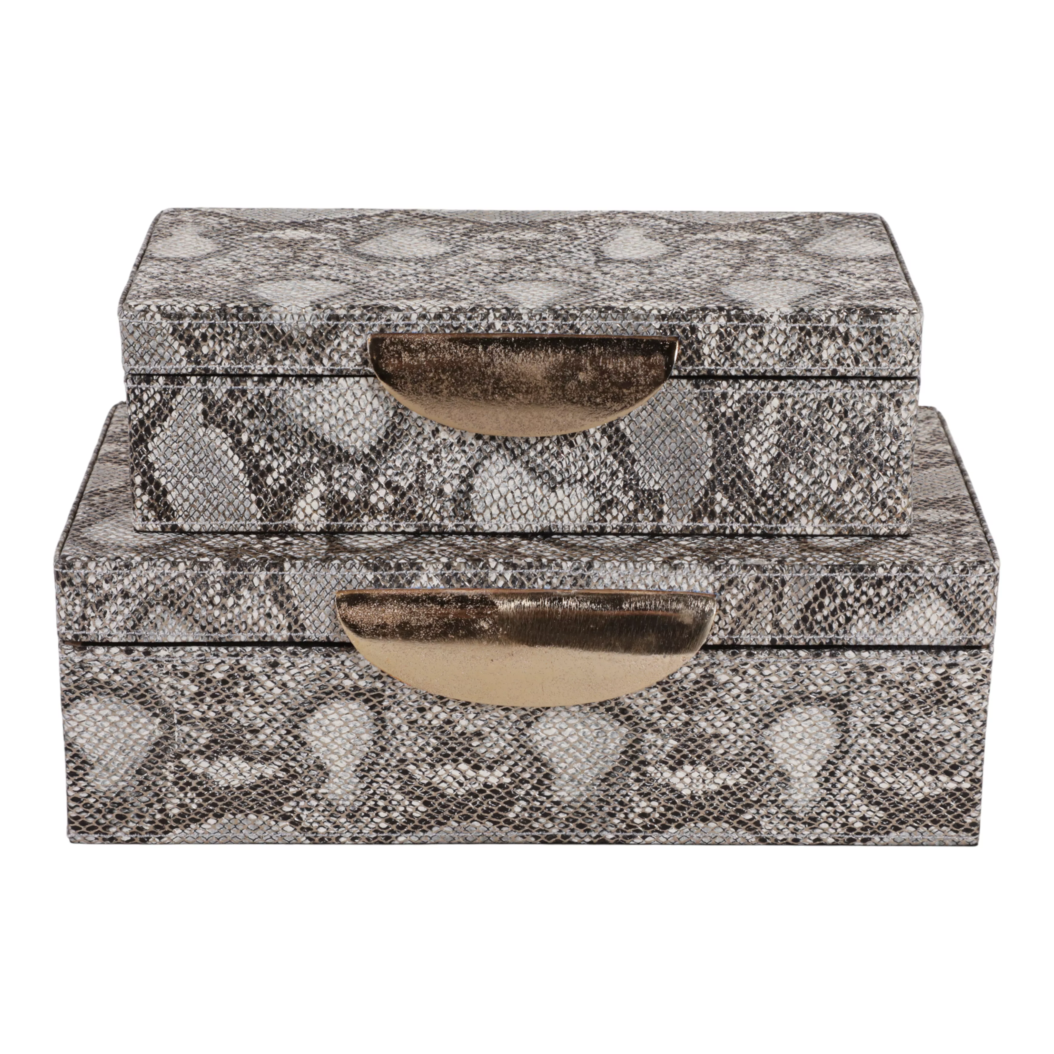 S/2 Shimmer Snakeskin Boxes
