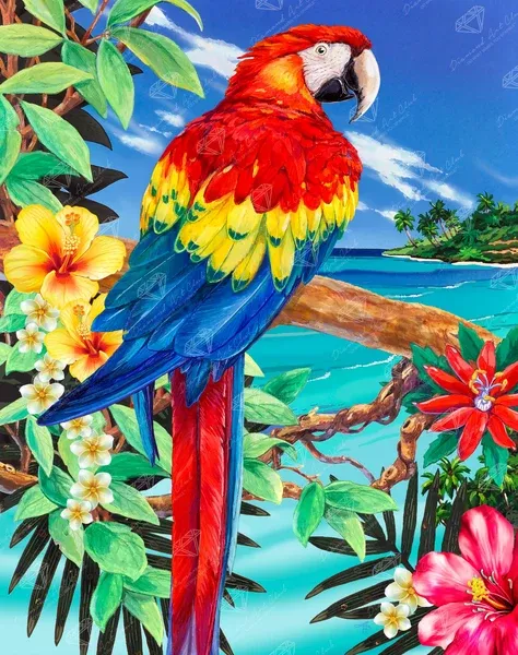 Scarlet Macaw