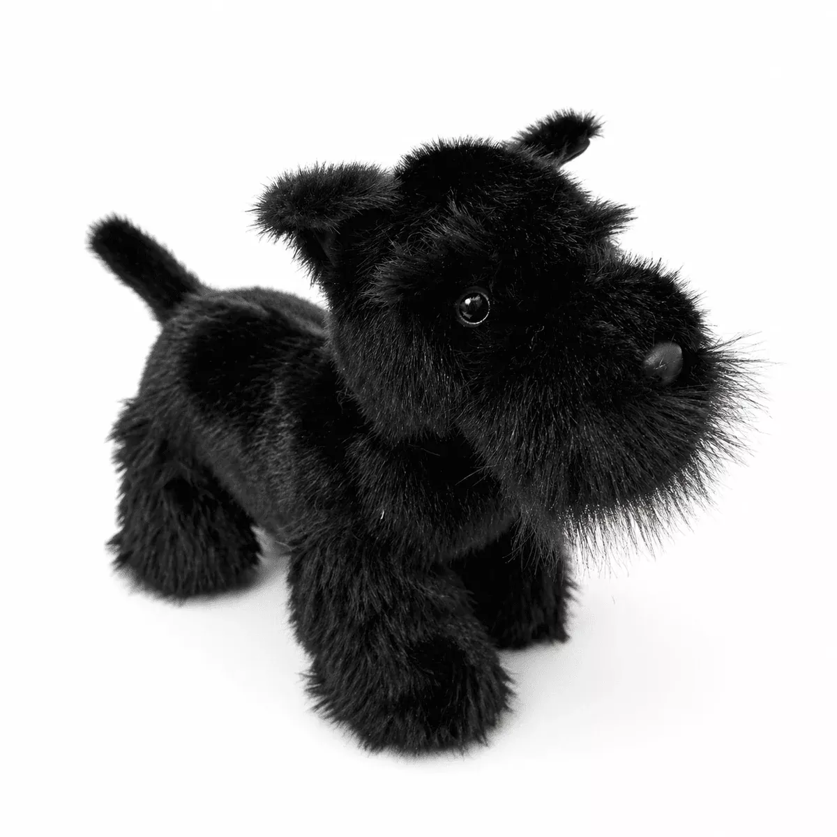 Scottish Terrier