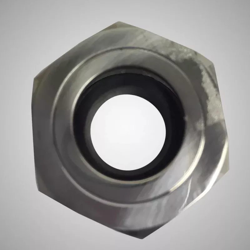 Shower Riser Nut and Cone Washer