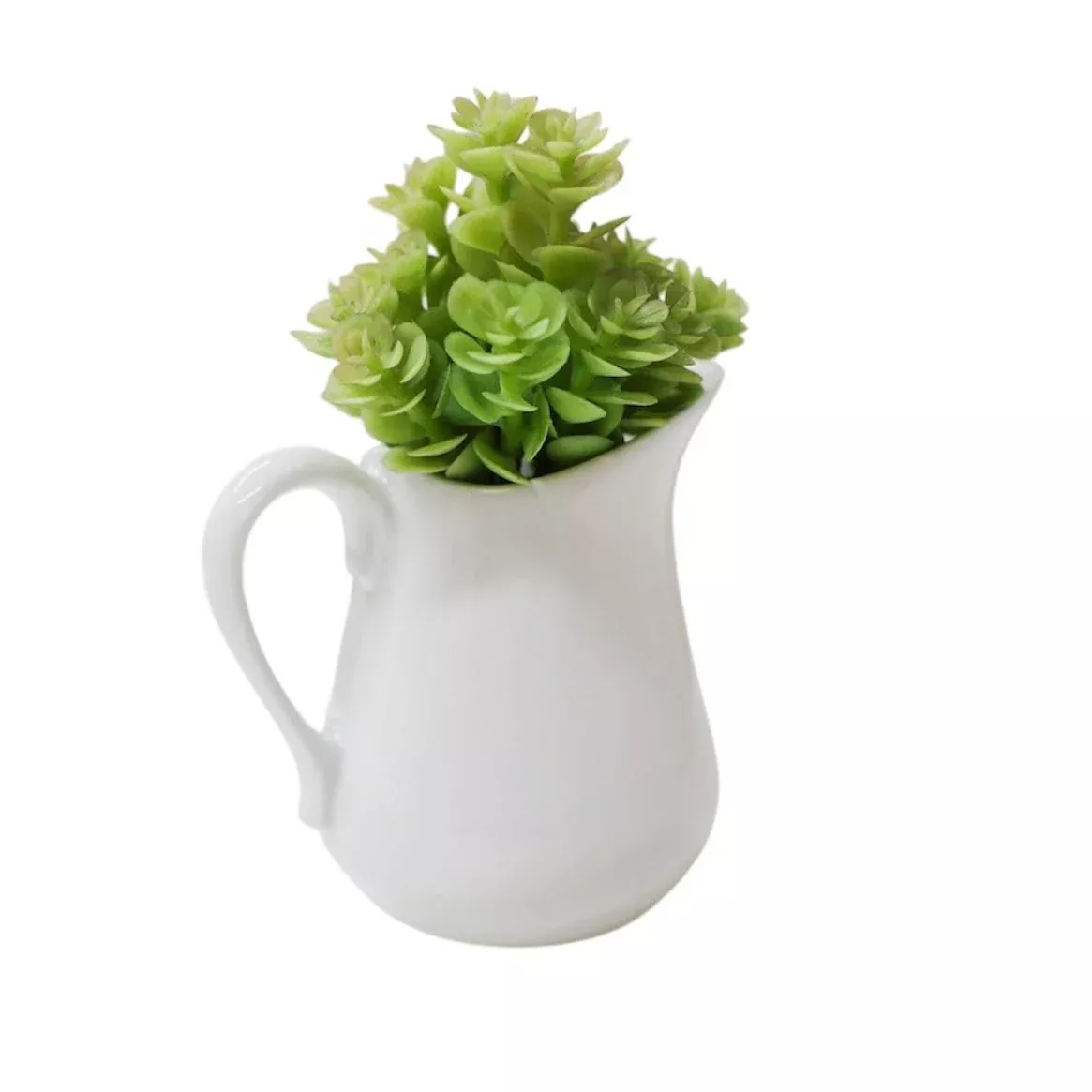 Soft Sedum Pick