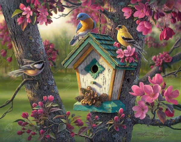 Springtime Beauty