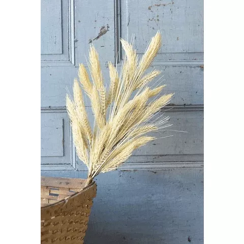 Sungold Barley Spray