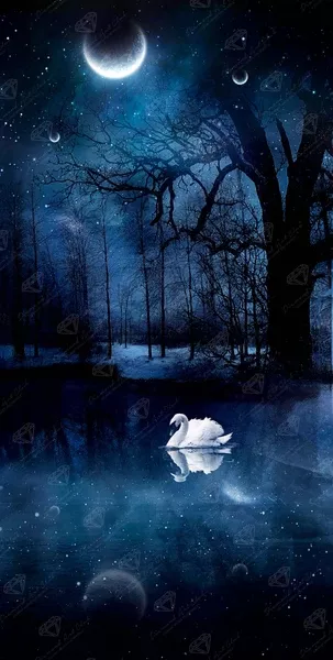 Swan Lake