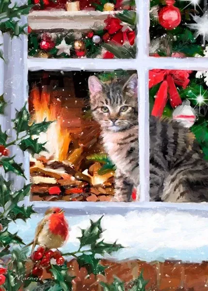 Tabby Cat
