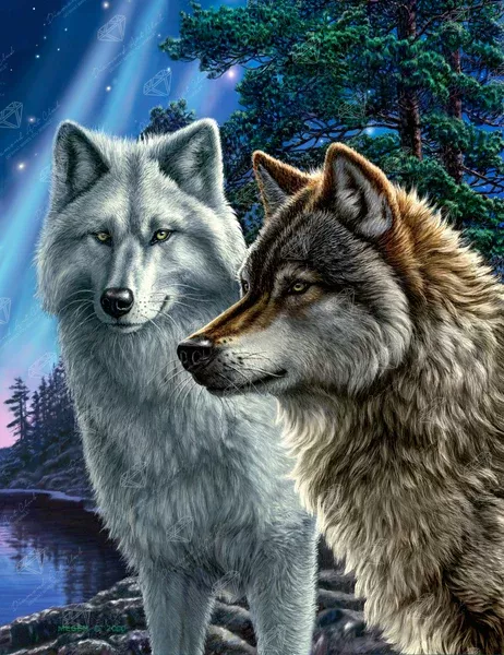 Together Wolves