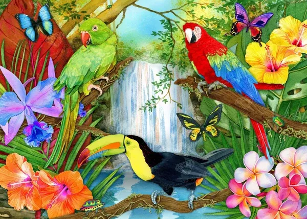 Tropical Forest