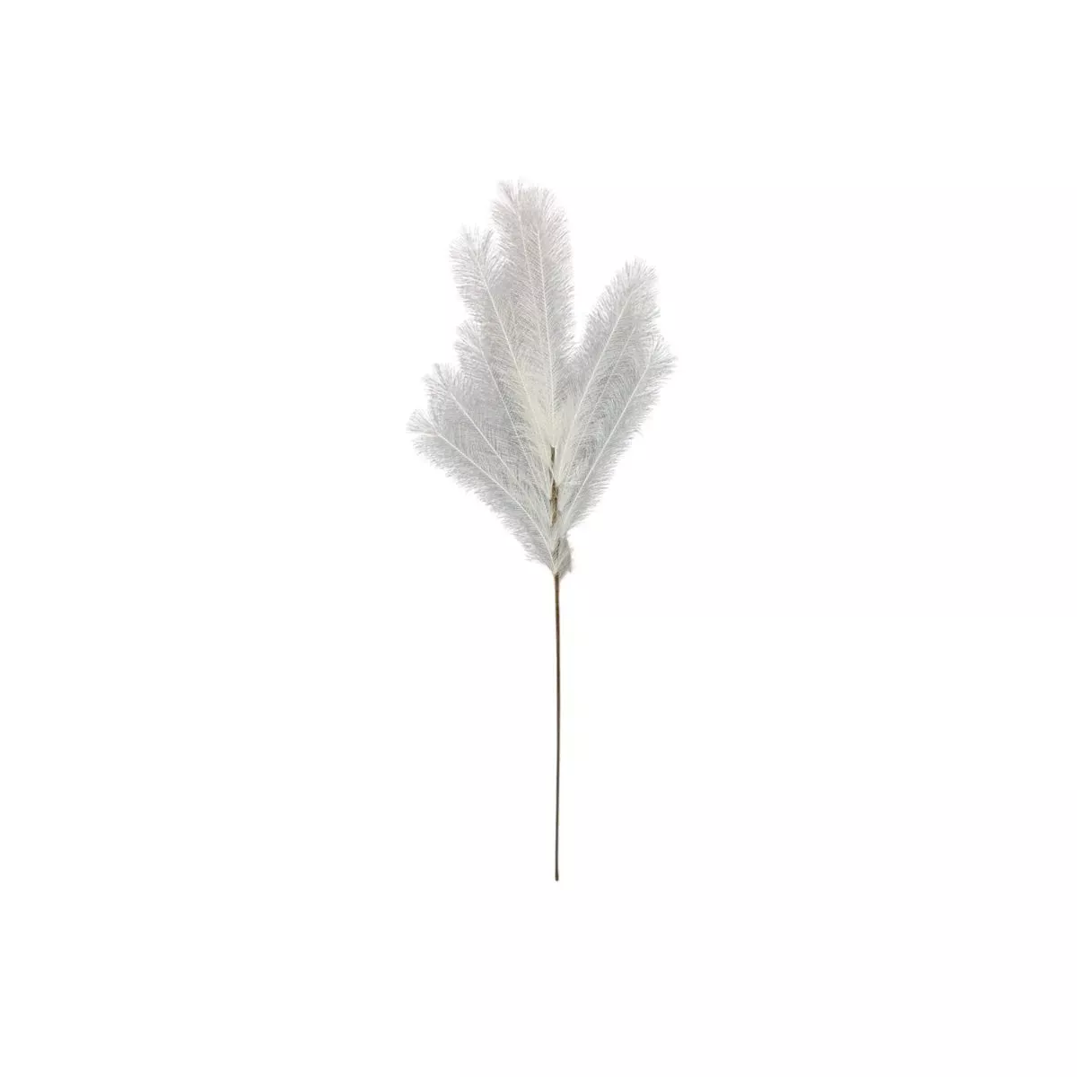 White Feather Stem