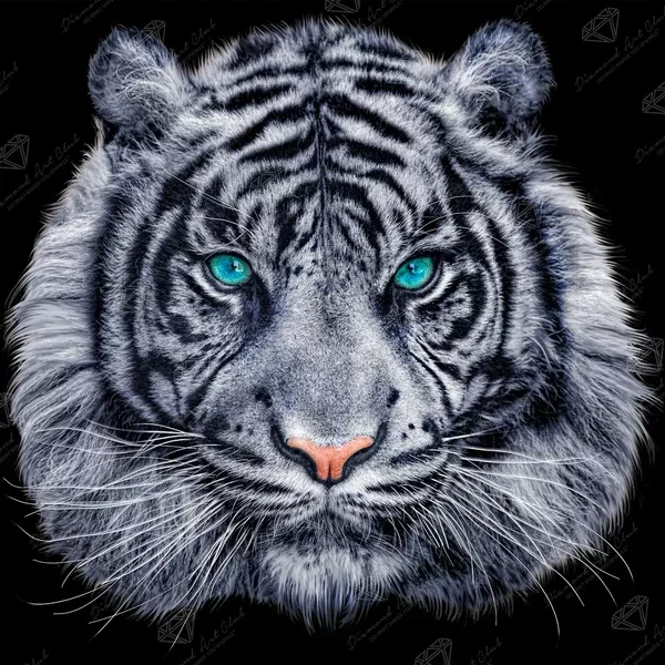 White Tiger