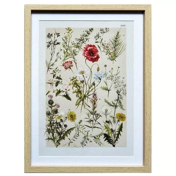 Wildflower Print II