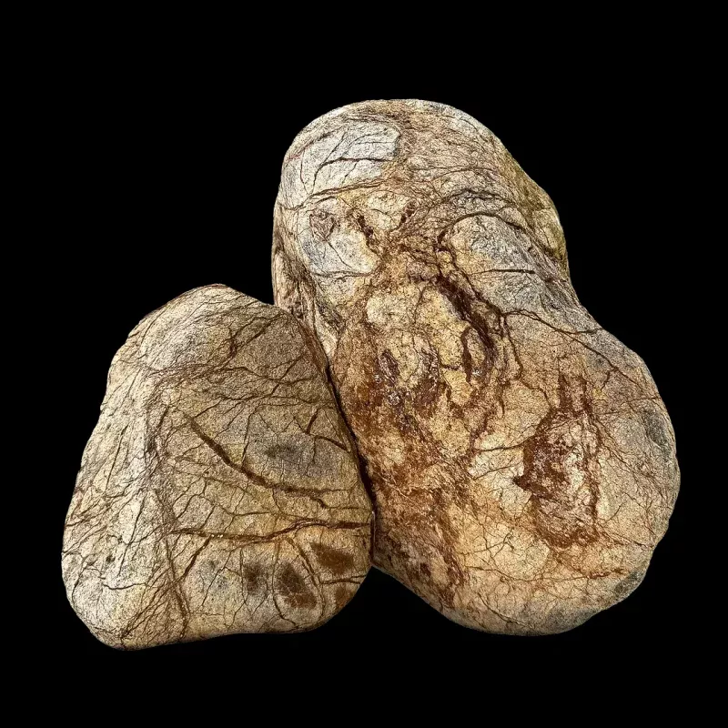 WIO - Zombie Boulder Stone