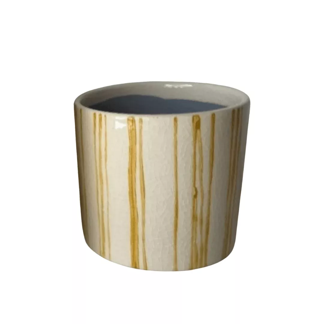 Yellow Stripe Plant Pot